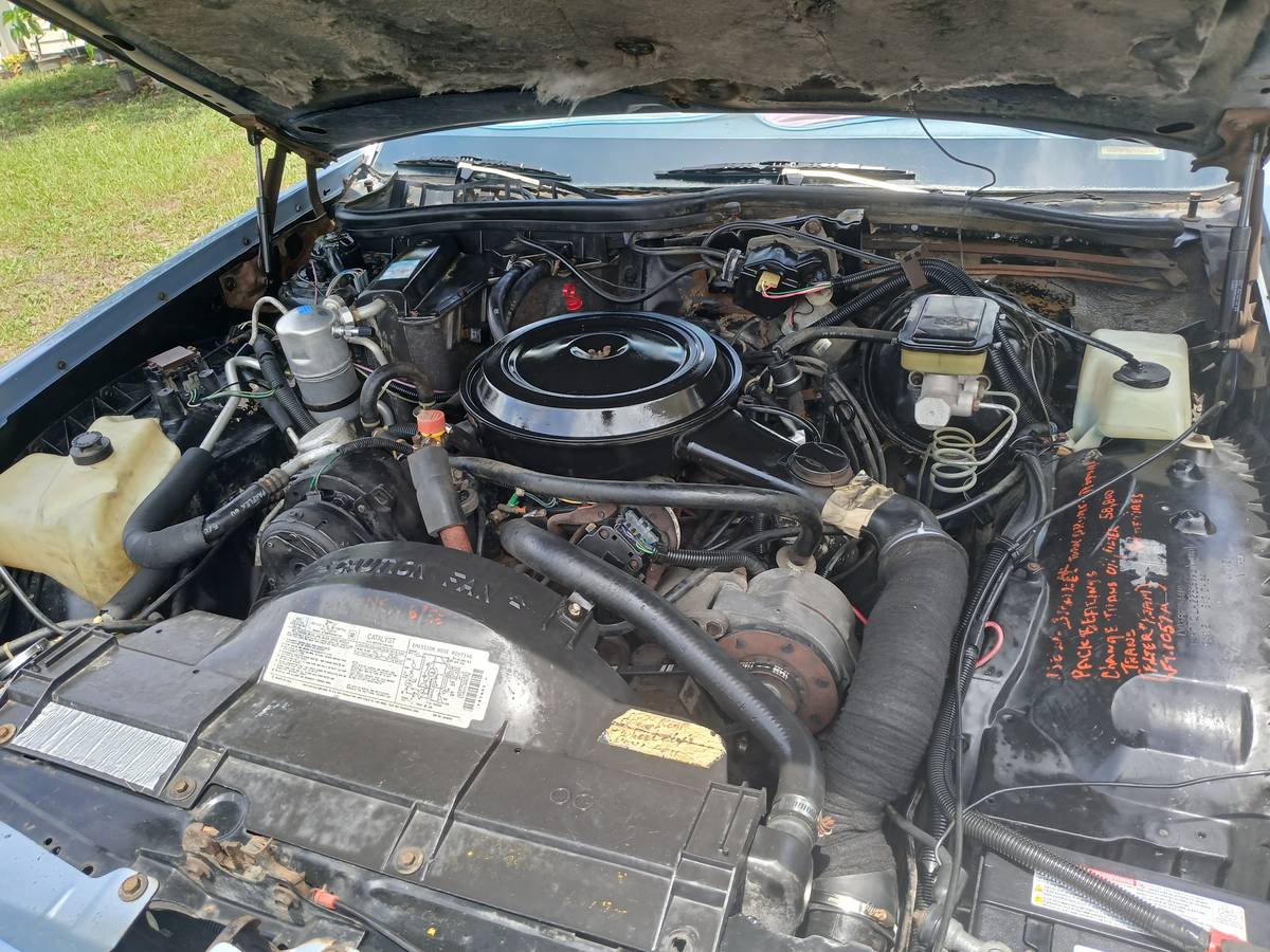 Buick-Lesabre-1984-blue-5