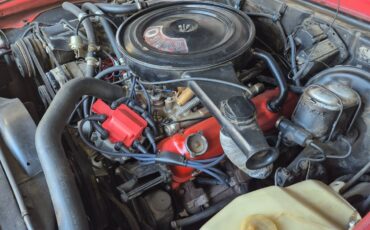 Buick-Other-1974-Coupe-18