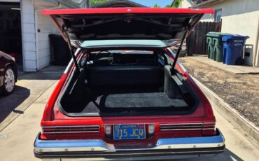 Buick-Other-1974-Coupe-21