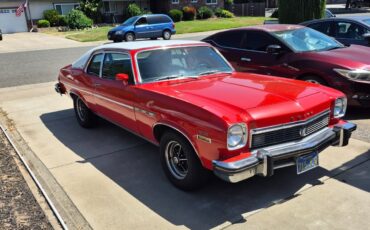 Buick-Other-1974-Coupe-23