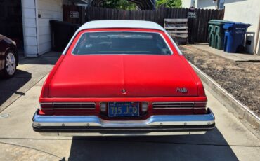 Buick-Other-1974-Coupe-3