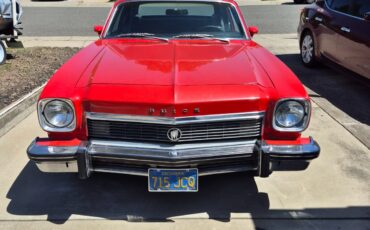 Buick-Other-1974-Coupe-4