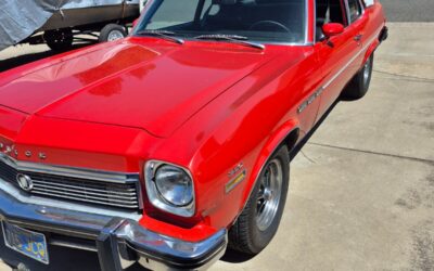 Buick Other 1974 Coupe