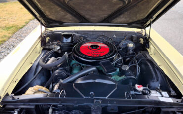 Buick-Skylark-1965-Coupe-15