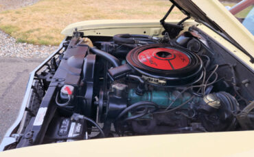 Buick-Skylark-1965-Coupe-16