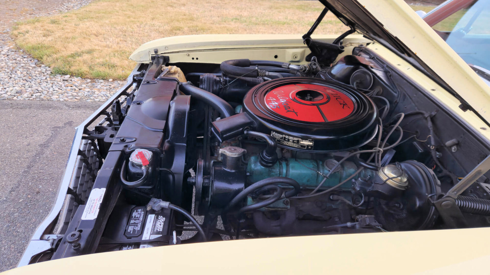 Buick-Skylark-1965-Coupe-16