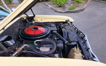 Buick-Skylark-1965-Coupe-17