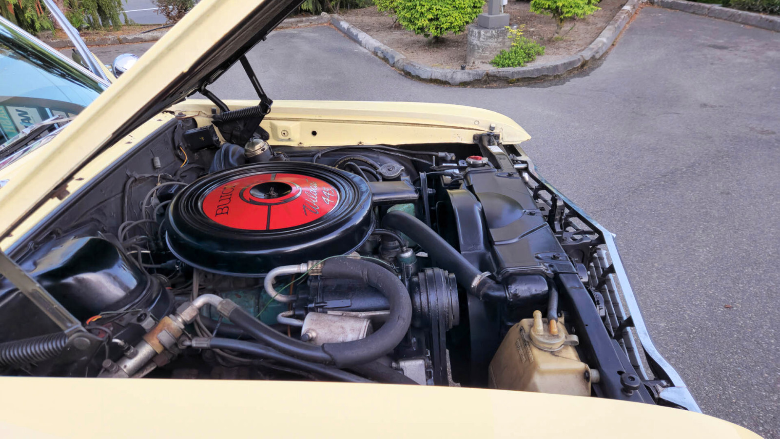 Buick-Skylark-1965-Coupe-17