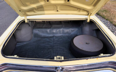 Buick-Skylark-1965-Coupe-19