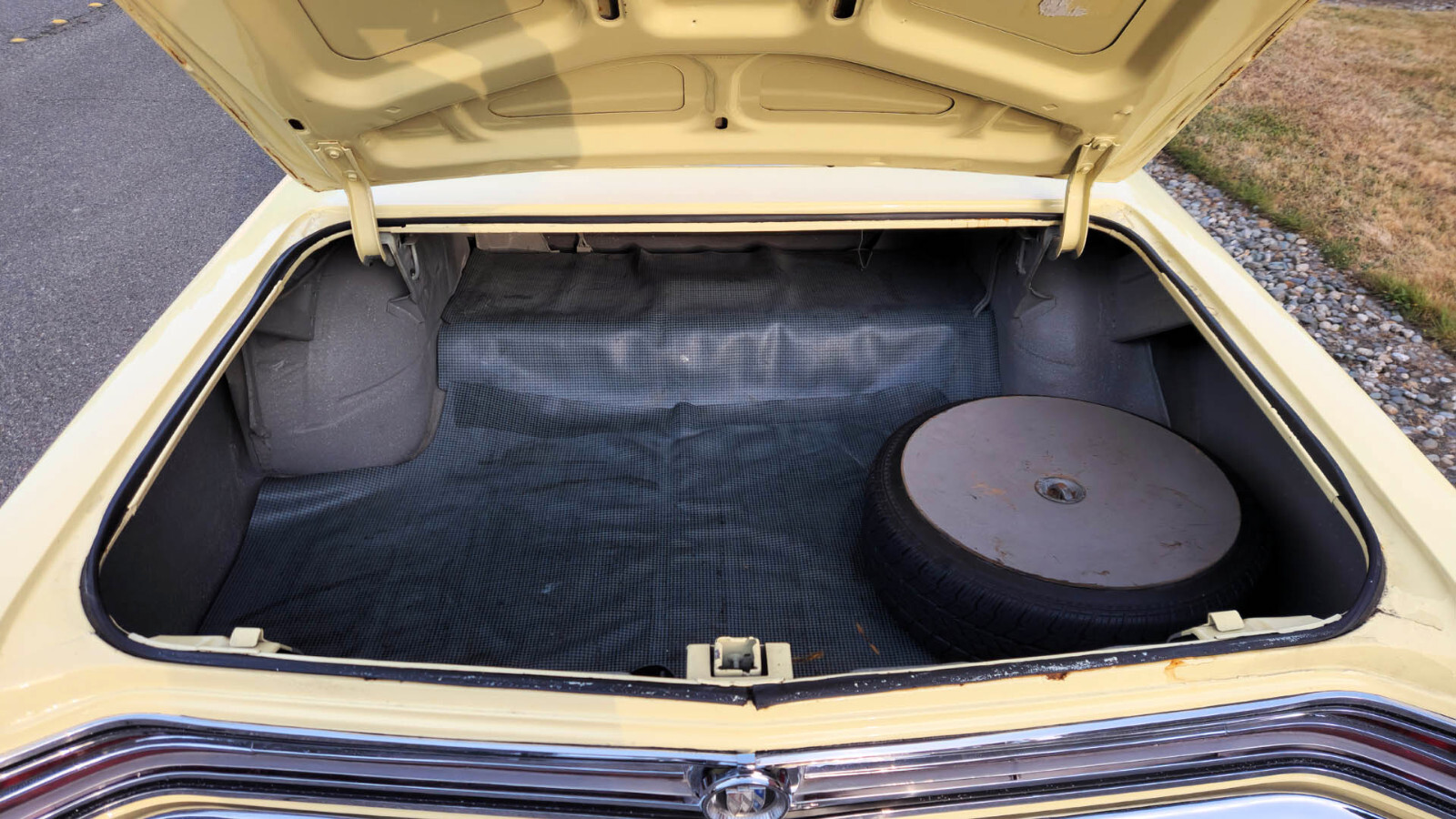 Buick-Skylark-1965-Coupe-19