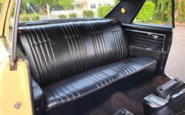 Buick-Skylark-1965-Coupe-6