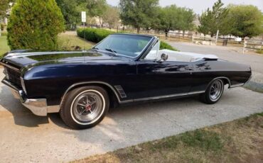 Buick-Skylark-1966-blue-6