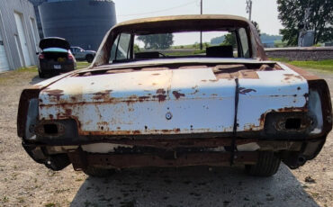 Buick-Skylark-1967-Coupe-11