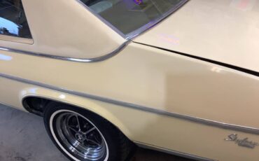 Buick-Skylark-1978-yellow-13