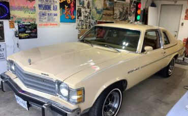 Buick-Skylark-1978-yellow-14