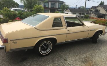 Buick-Skylark-1978-yellow-2
