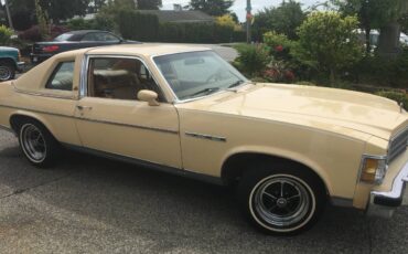 Buick-Skylark-1978-yellow-3