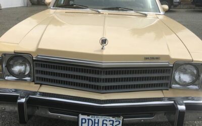 Buick Skylark  1978 yellow