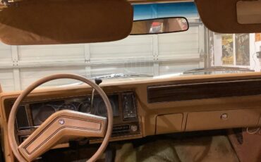 Buick-Skylark-1978-yellow-5