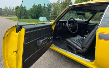 Buick-Skylark-GSX-Tribute-1971-10