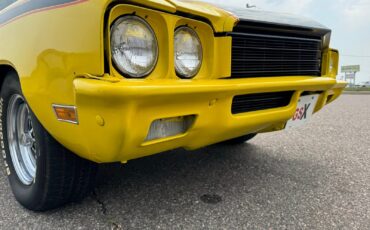 Buick-Skylark-GSX-Tribute-1971-22
