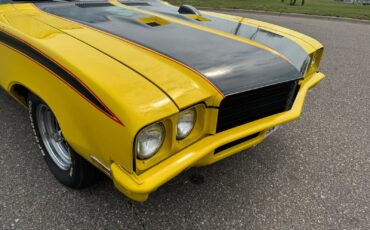 Buick-Skylark-GSX-Tribute-1971-25
