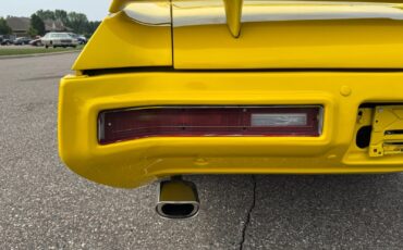 Buick-Skylark-GSX-Tribute-1971-35