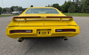Buick-Skylark-GSX-Tribute-1971-4