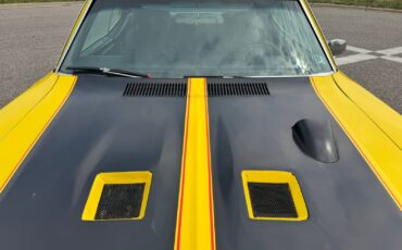 Buick-Skylark-GSX-Tribute-1971-9