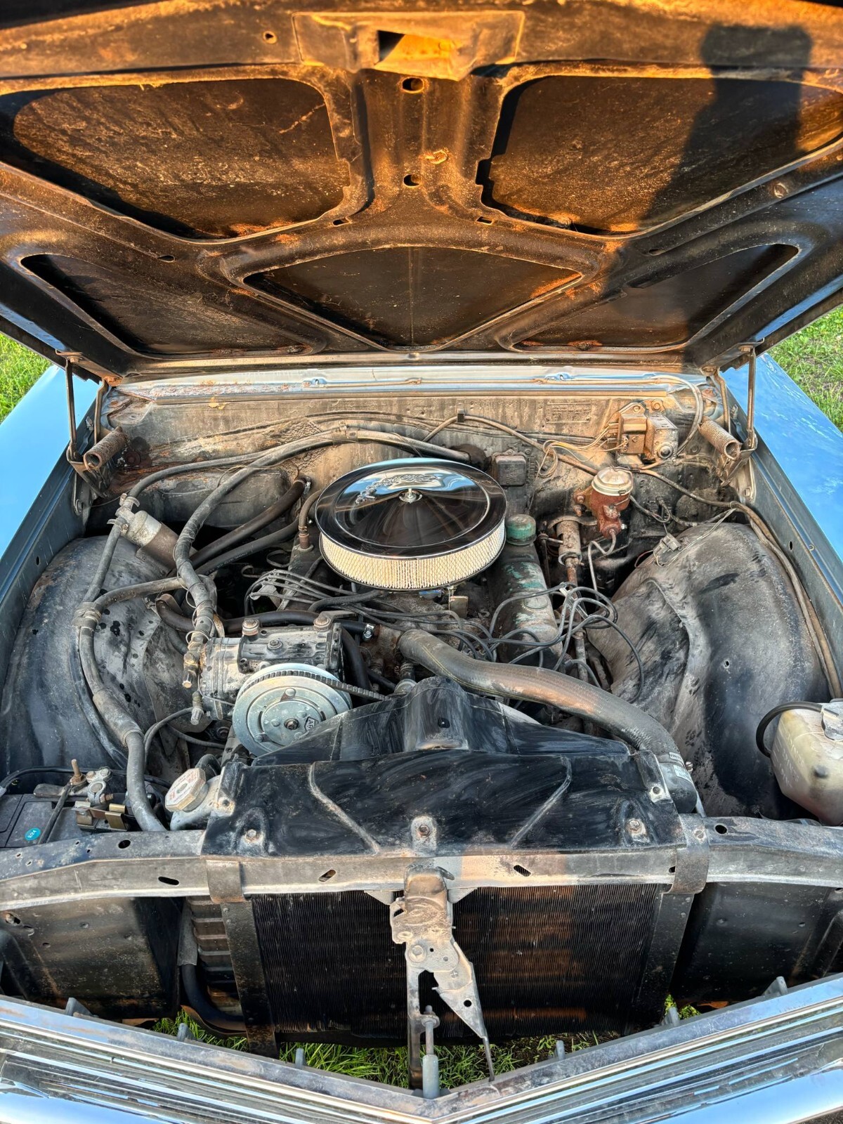 Buick-Special-1966-Sedan-11