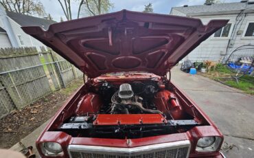 Cadillac-Custom-1974-14