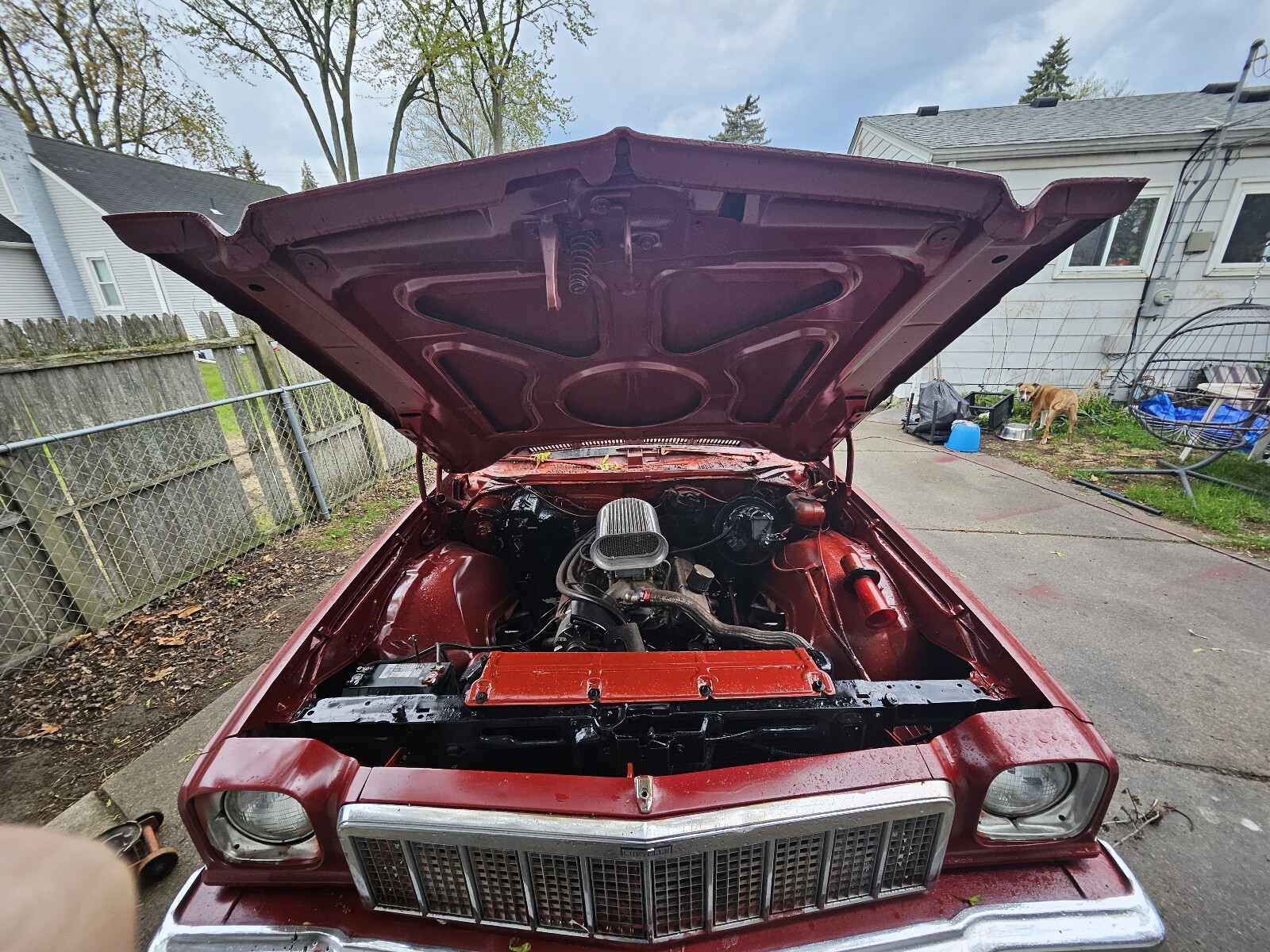 Cadillac-Custom-1974-14