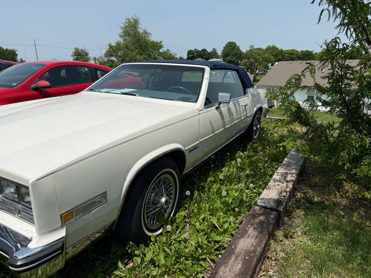 Cadillac-Eldorado-1983-white-4