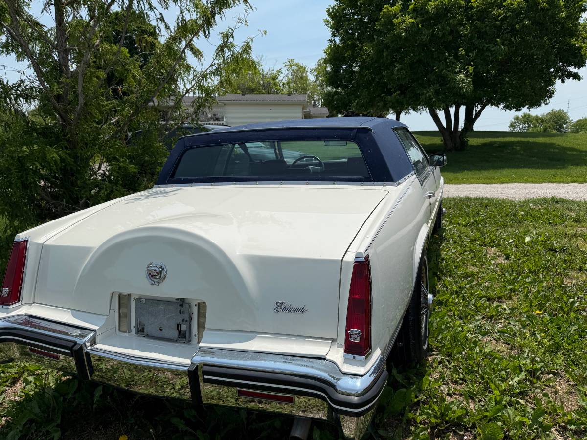 Cadillac-Eldorado-1983-white-6