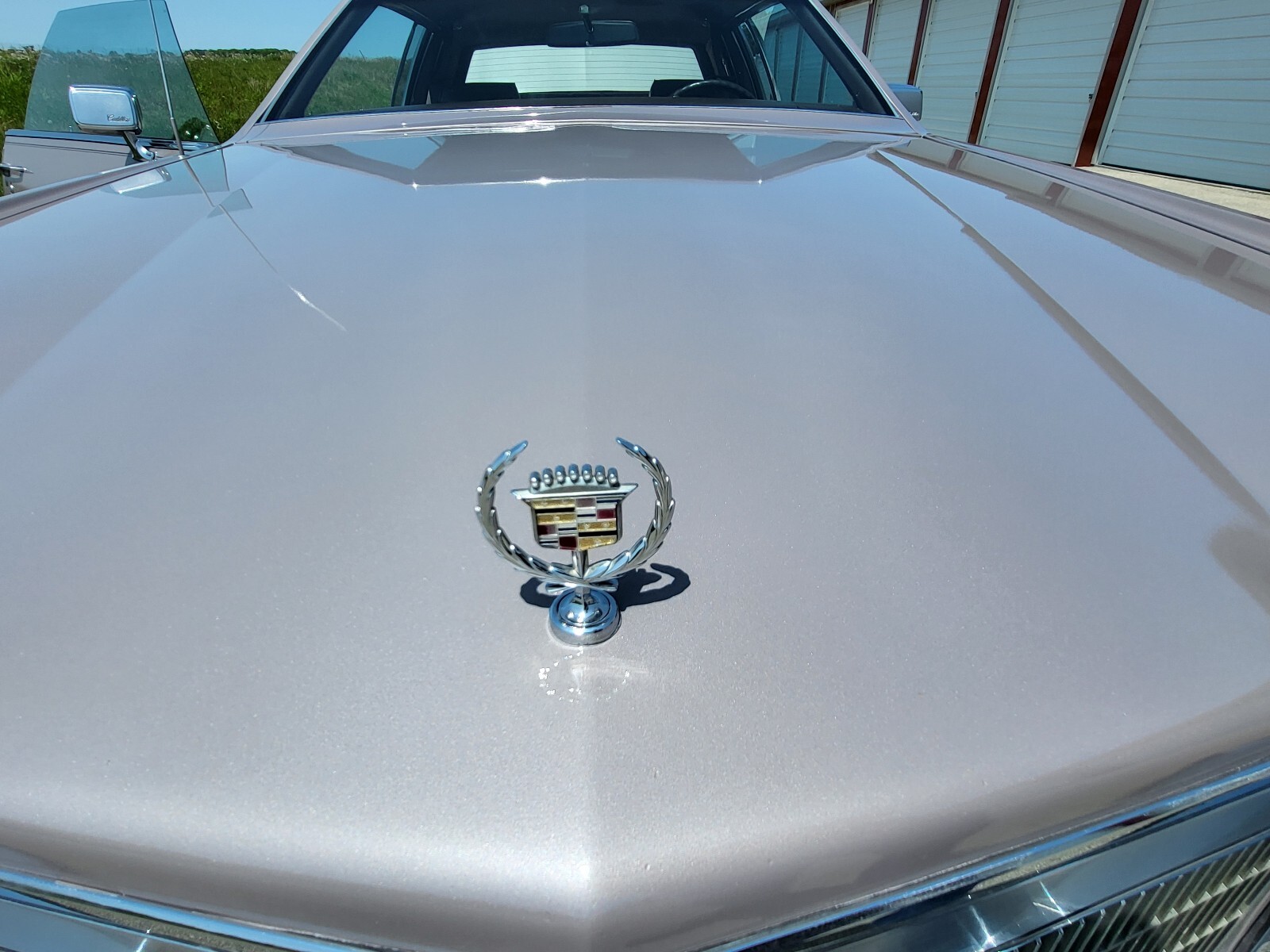 Cadillac-Eldorado-1984-19