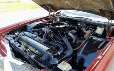 Cadillac-Eldorado-convertible-1976-12