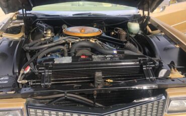 Cadillac-Eldorado-convertible-1976-3