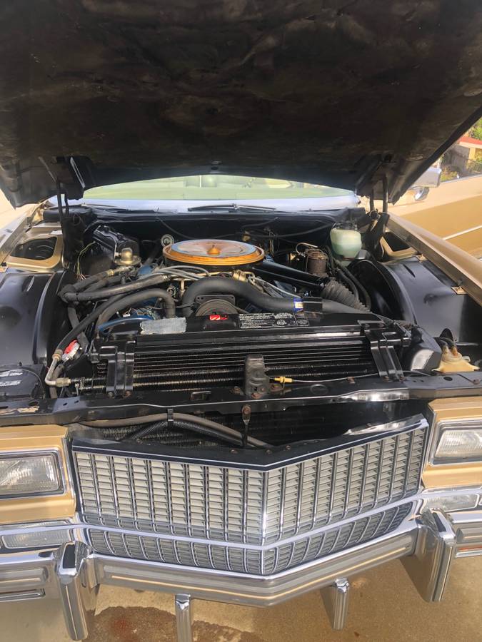 Cadillac-Eldorado-convertible-1976-3