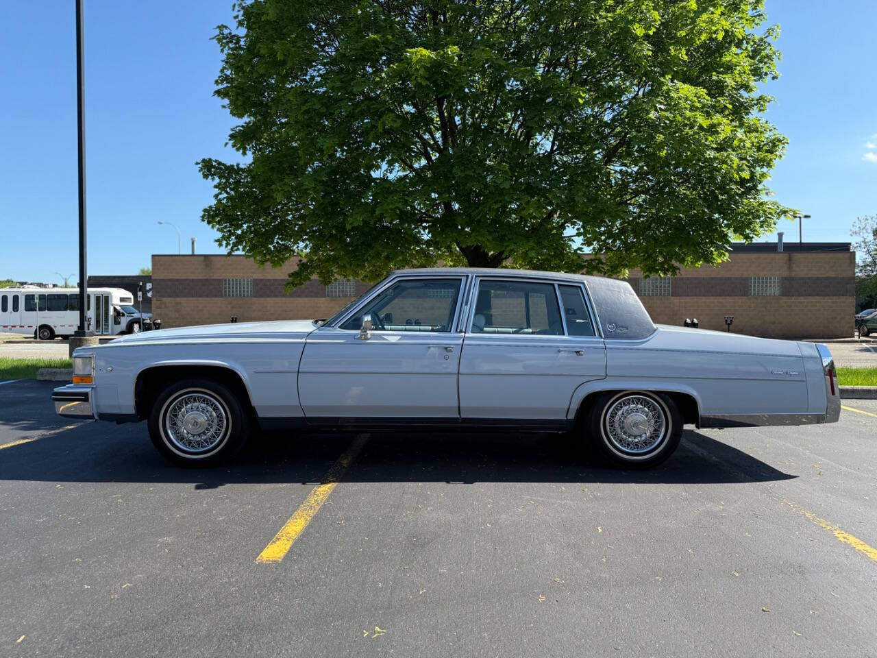 Cadillac-Fleetwood-1980-Sedan-9