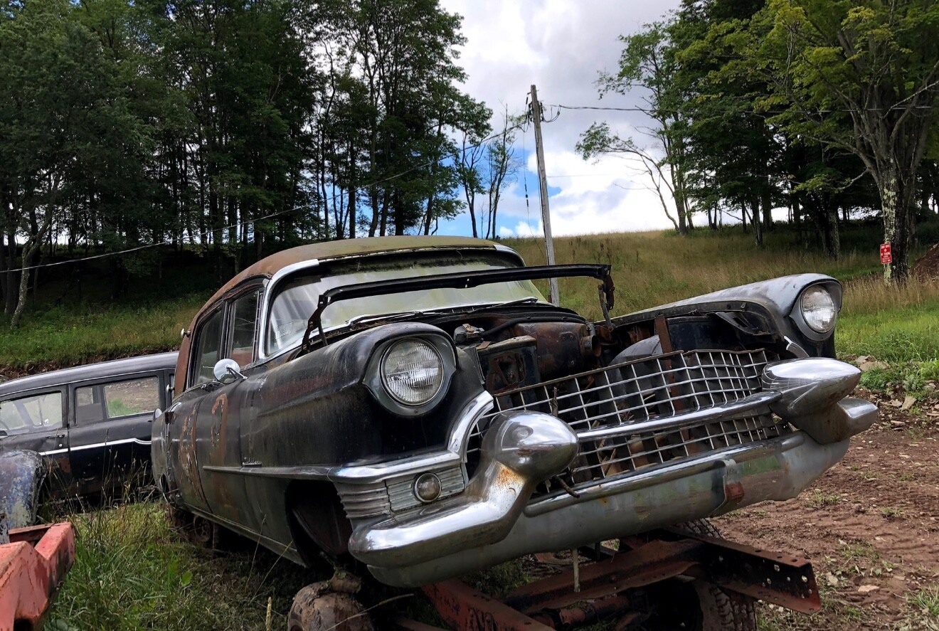 Cadillac-Other-1955-Hearse-3