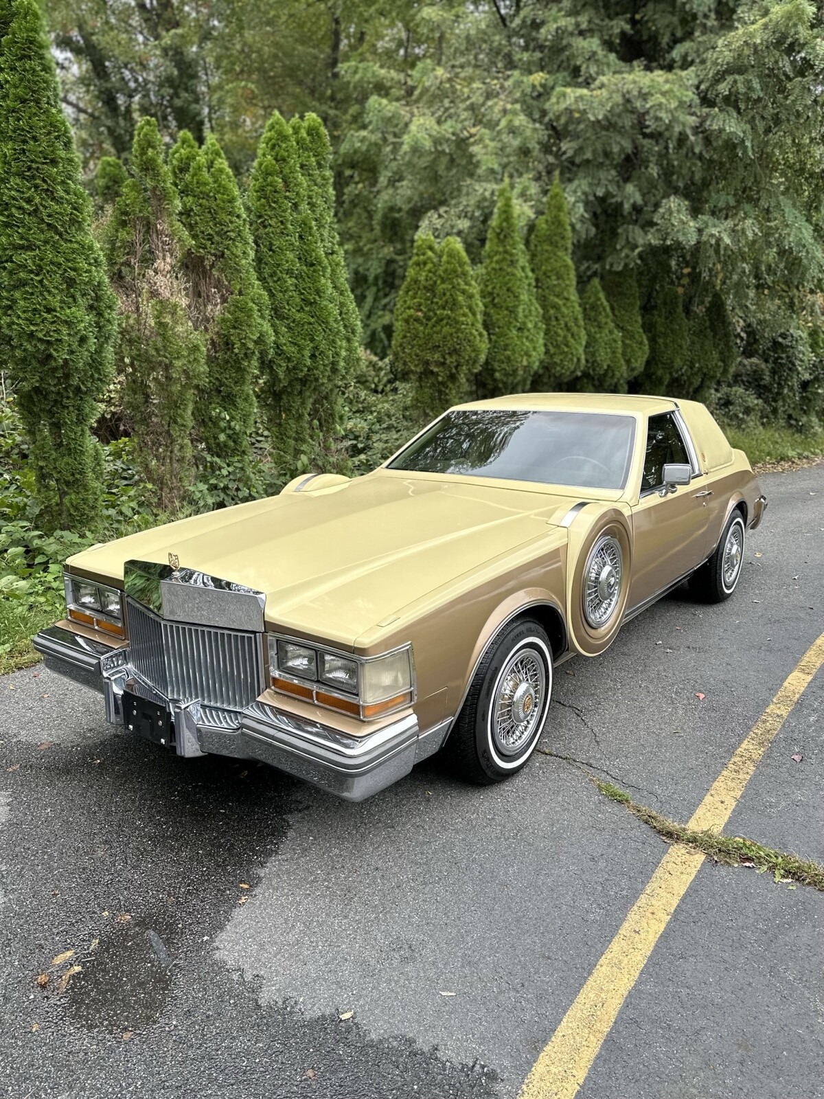 Cadillac-Seville-1980-1