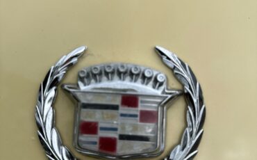 Cadillac-Seville-1980-12