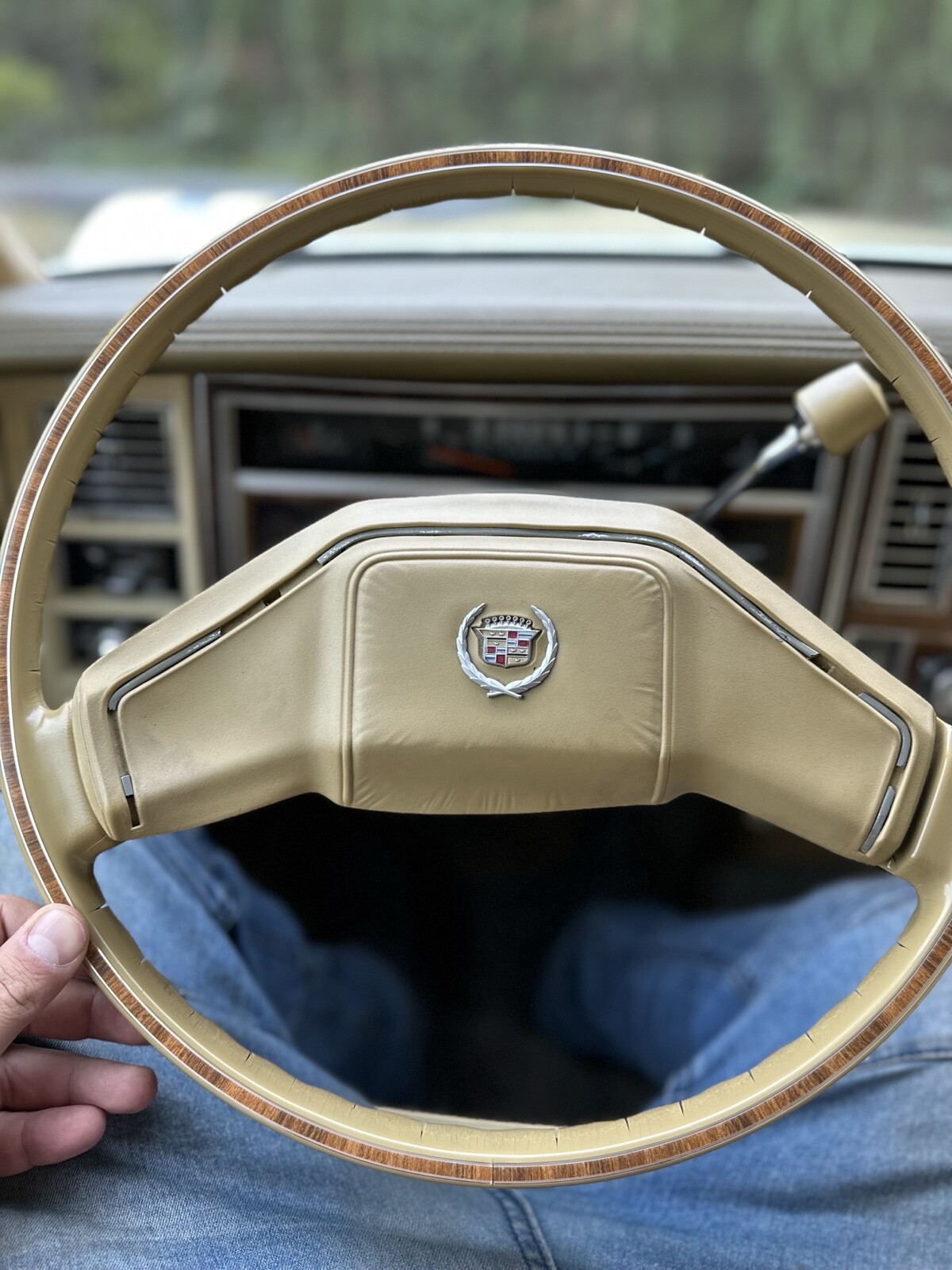 Cadillac-Seville-1980-15