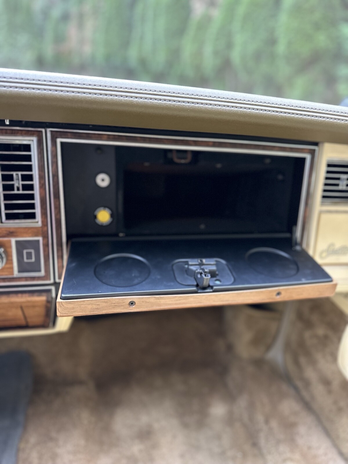 Cadillac-Seville-1980-19