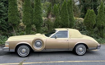 Cadillac-Seville-1980-2