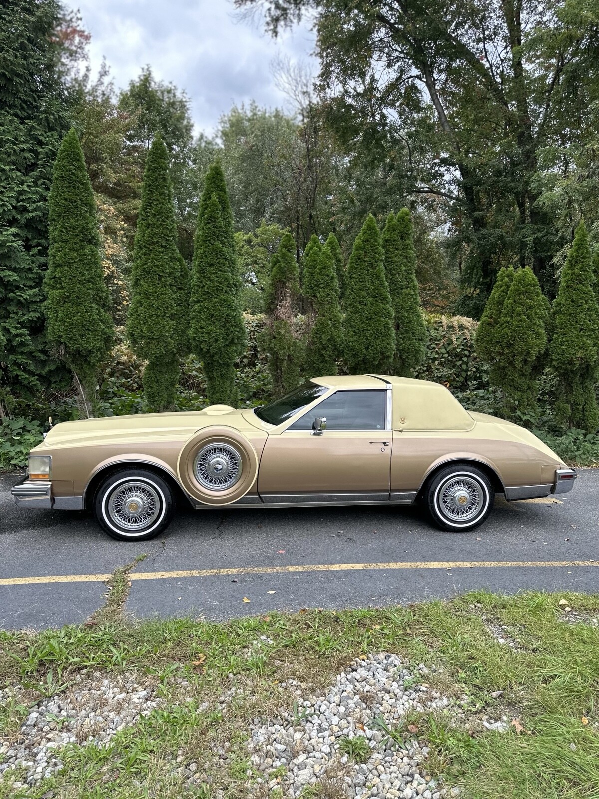Cadillac-Seville-1980-2