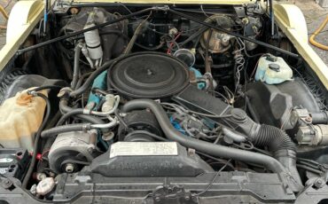 Cadillac-Seville-1980-21