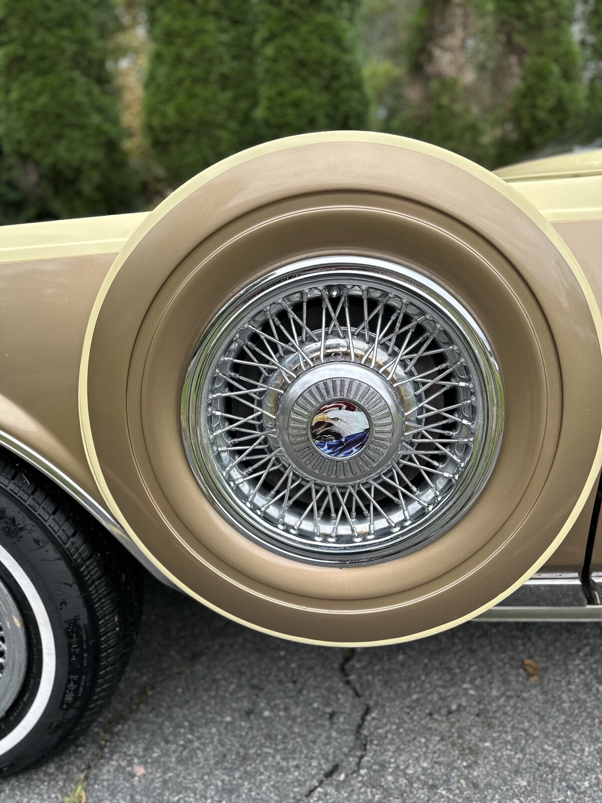 Cadillac-Seville-1980-22
