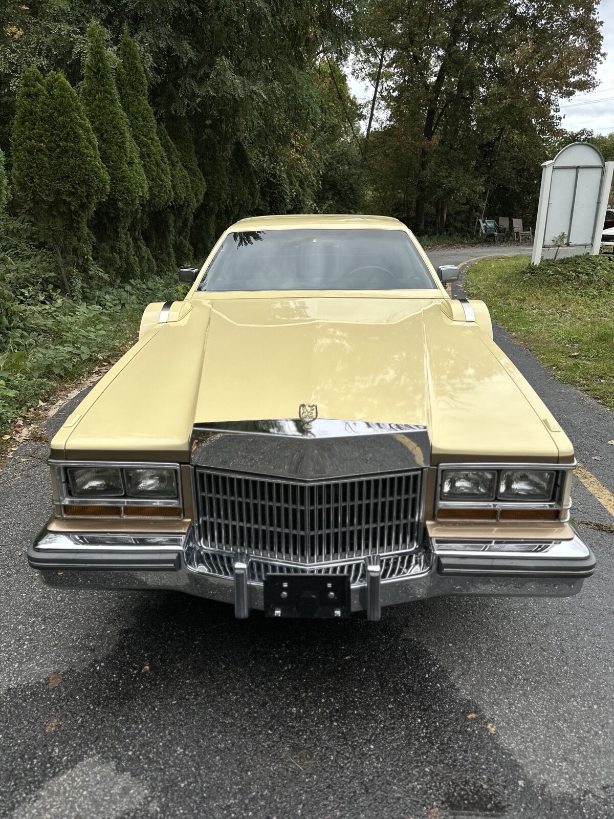Cadillac-Seville-1980