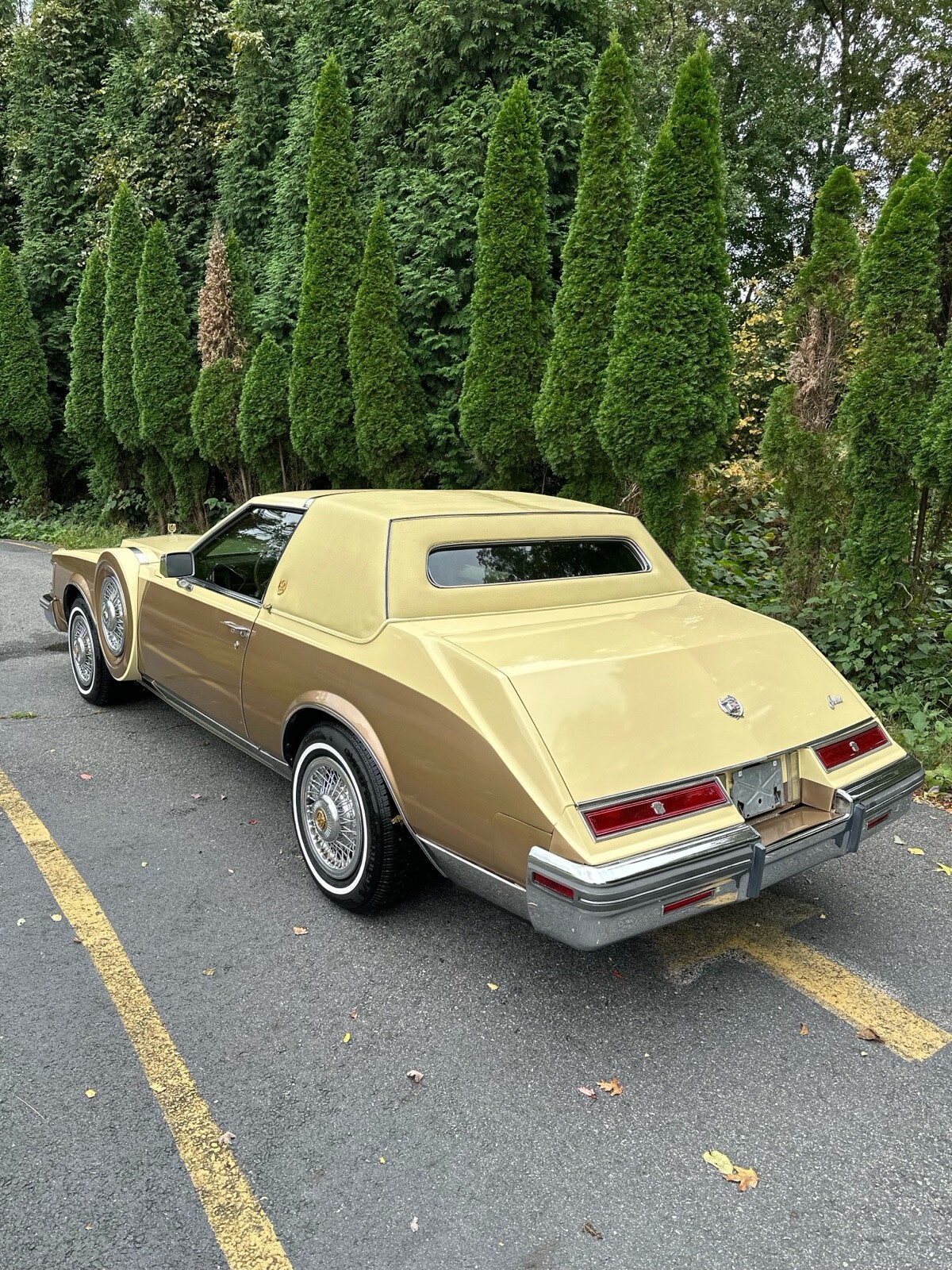 Cadillac-Seville-1980-3